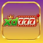 xd777 game