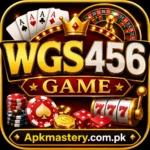 WGS456 Game